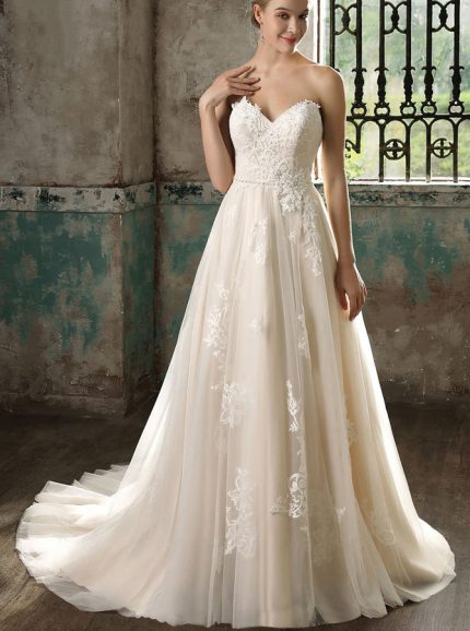 Princess A-line Wedding Gown with Lace Appliques and Court Train